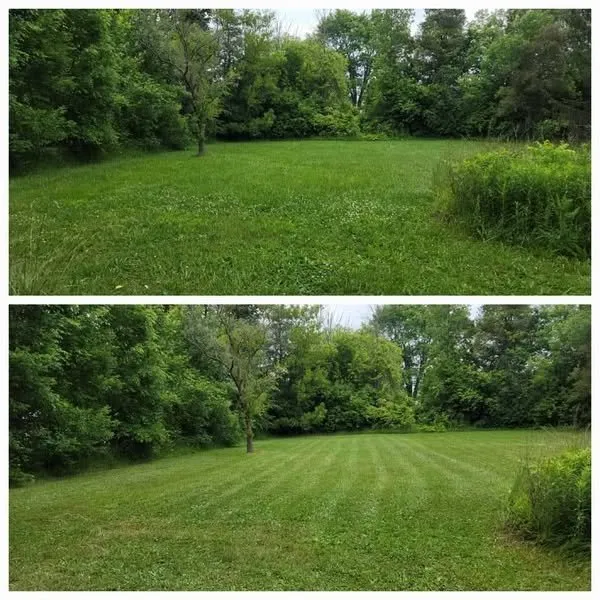 Expert yard cleanup service in Flint, MI - Complete Lawn Care/ Landscaping