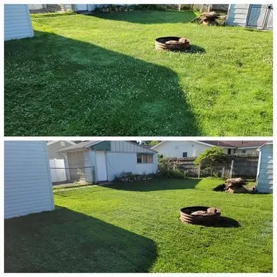 Complete Lawn Care/ Landscaping Logo