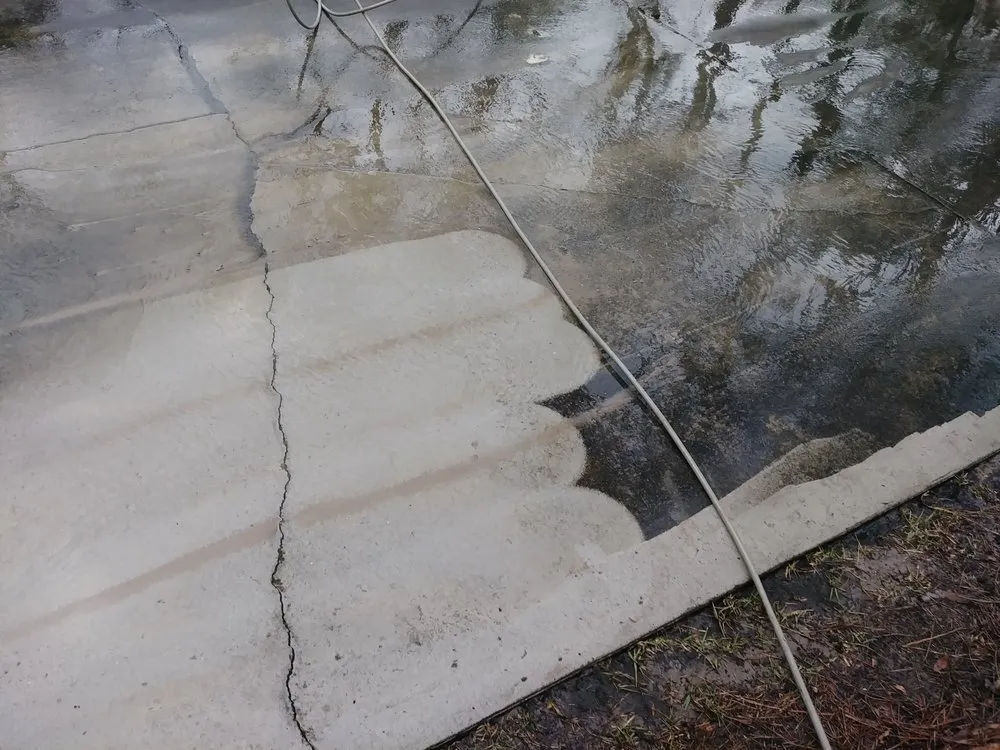 Top-rated lawn care service experts serving Newport, NC - Complete Lawn Care