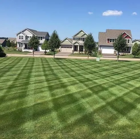 Affordable outdoor landscaping in Newport, NC by Complete Lawn Care