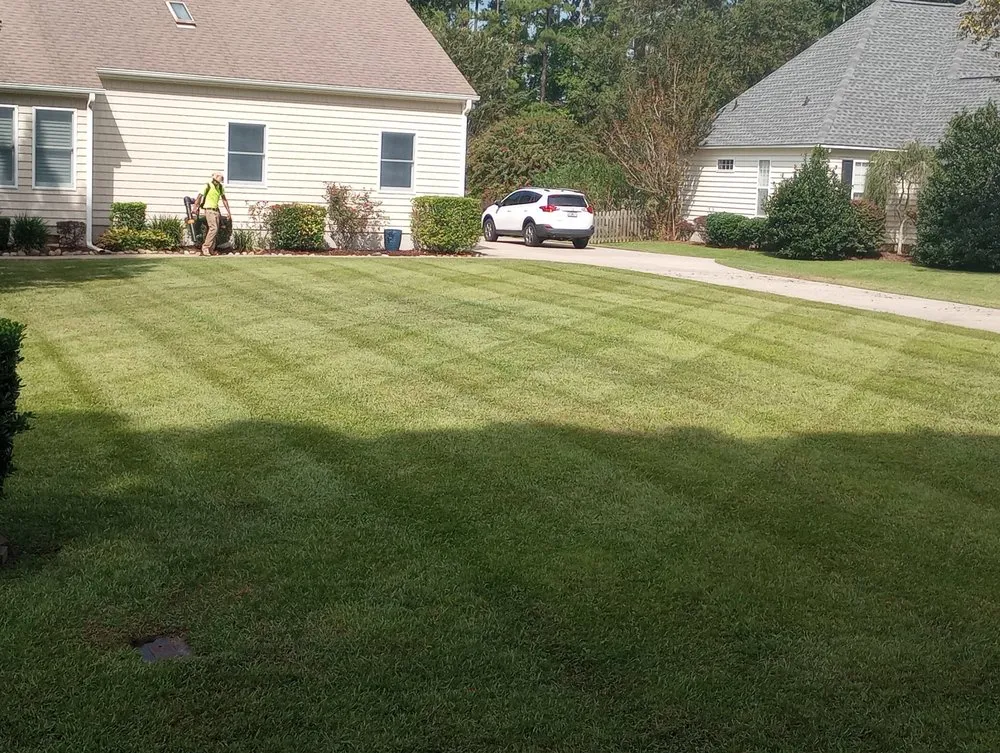 Top-rated residential landscaping in Newport, NC - Complete Lawn Care