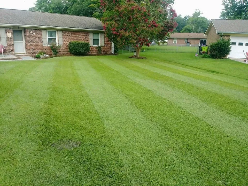 Top-rated lawn mowing service in Newport, NC by Complete Lawn Care