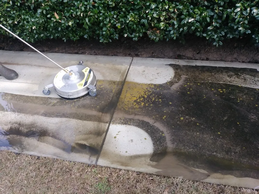 Reliable landscape design experts serving Newport, NC - Complete Lawn Care