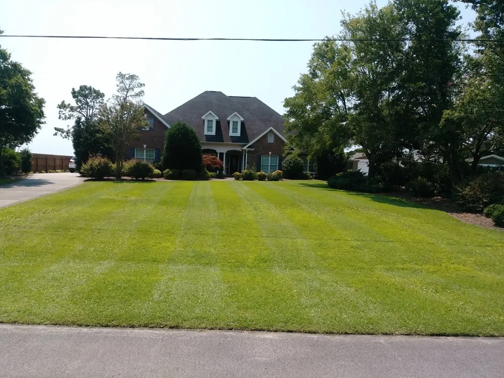 Professional landscaping services in Newport, NC - Complete Lawn Care