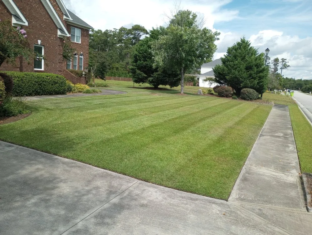 Custom yard maintenance for homes in Newport, NC by Complete Lawn Care