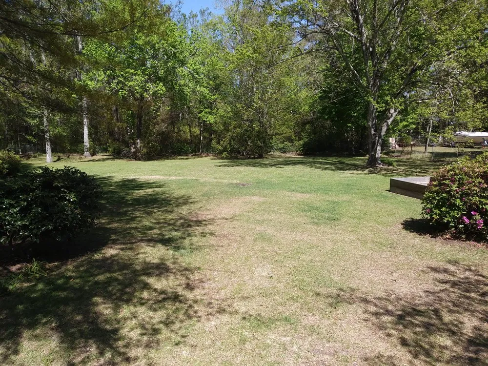 Professional residential landscaping in Newport, NC - Complete Lawn Care