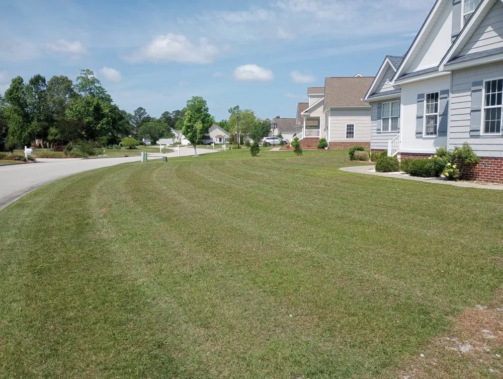 Trusted residential landscaping in Newport, NC by Complete Lawn Care