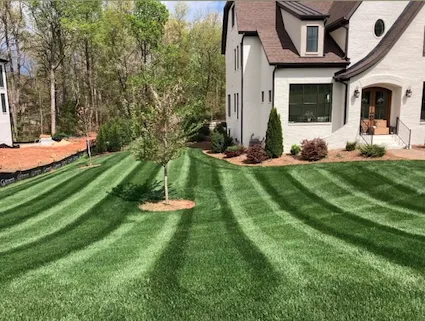 Complete Lawn Care