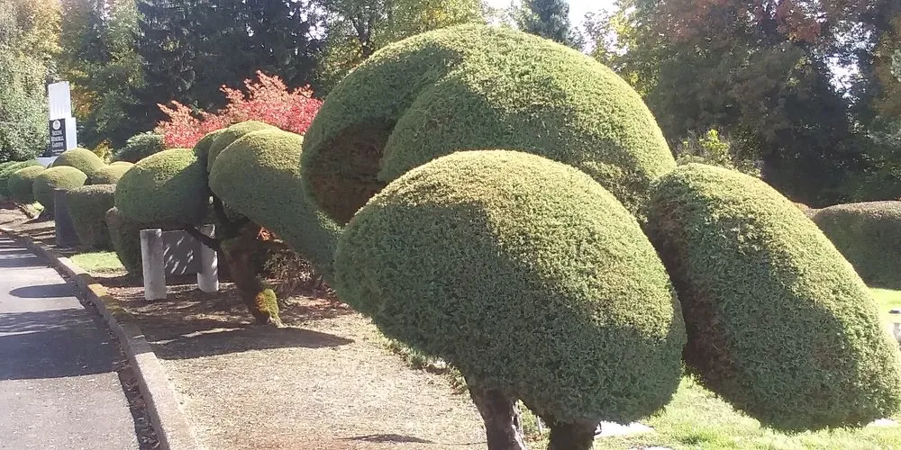 Affordable residential landscaping for homes across Portland, OR - Complete Lawn Care