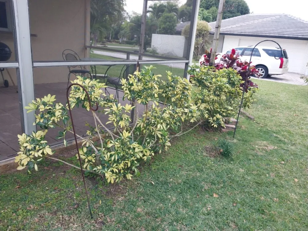 Affordable yard maintenance near you in Pompano Beach, FL by Complete Lawn Care Service