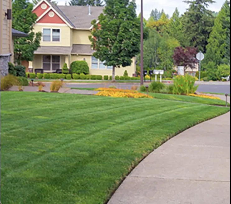 Local outdoor landscaping in Pompano Beach, FL by Complete Lawn Care Service