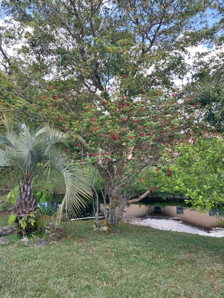 Affordable outdoor landscaping for outdoor upgrades across Pompano Beach, FL - Complete Lawn Care Service