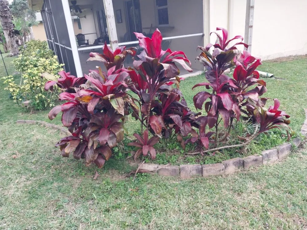 Top-rated outdoor landscaping experts serving Pompano Beach, FL - Complete Lawn Care Service