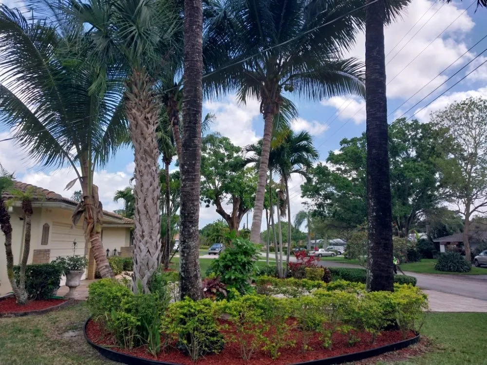 Professional landscaping services in Pompano Beach, FL - Complete Lawn Care Service