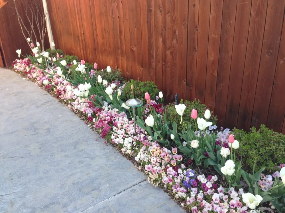 Custom yard maintenance in Tulsa, OK - Complete Lawn care