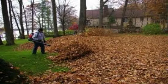 Trusted landscaping services in Tulsa, OK by Complete Lawn care