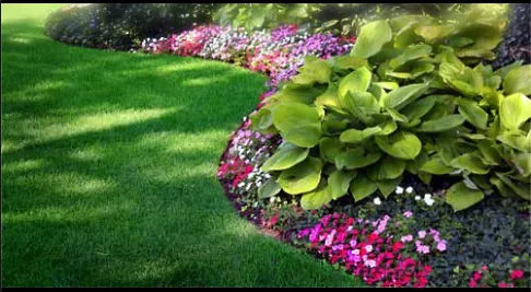 Expert yard cleanup service in Wichita Falls, TX - Complete Lawn Service