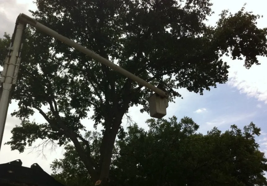 Custom landscaping services experts serving Wichita Falls, TX - Complete Lawn Service