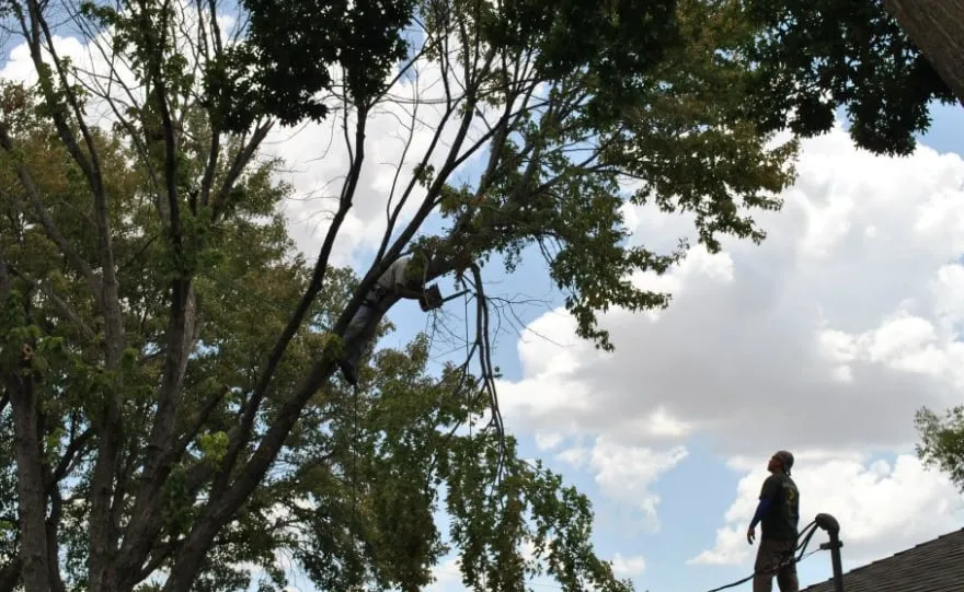 Affordable garden landscaping near you in Wichita Falls, TX by Complete Lawn Service