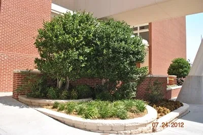 Reliable garden landscaping for homes in Wichita Falls, TX by Complete Lawn Service