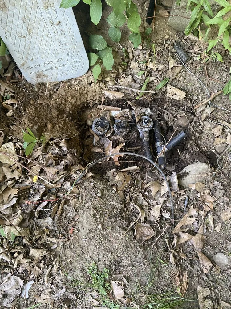 Local landscape design experts serving Dover, NH - Complete Lawn Sprinkler Services