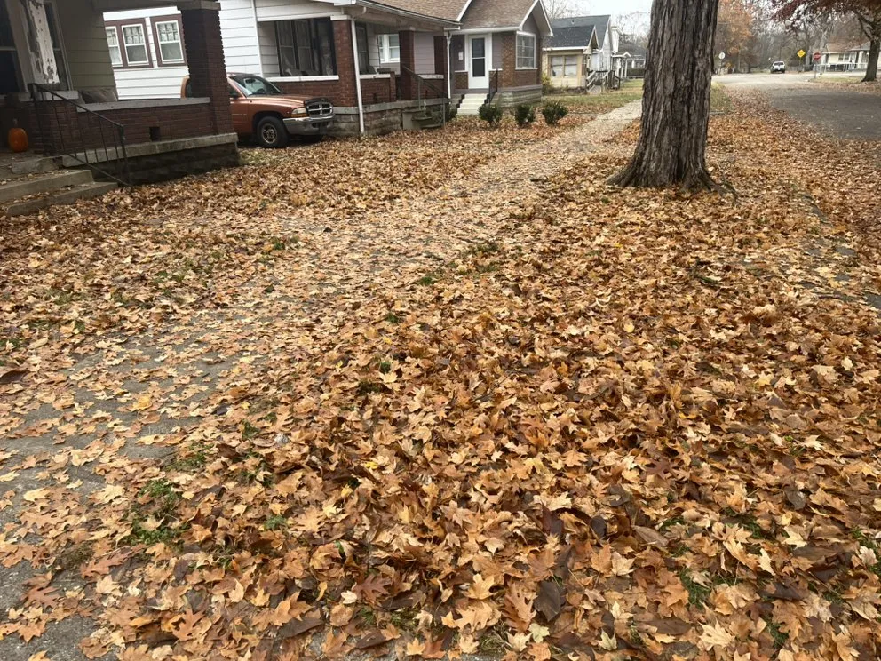 Professional landscaping services in Indianapolis, IN - Complete Outdoor Services Of Indiana