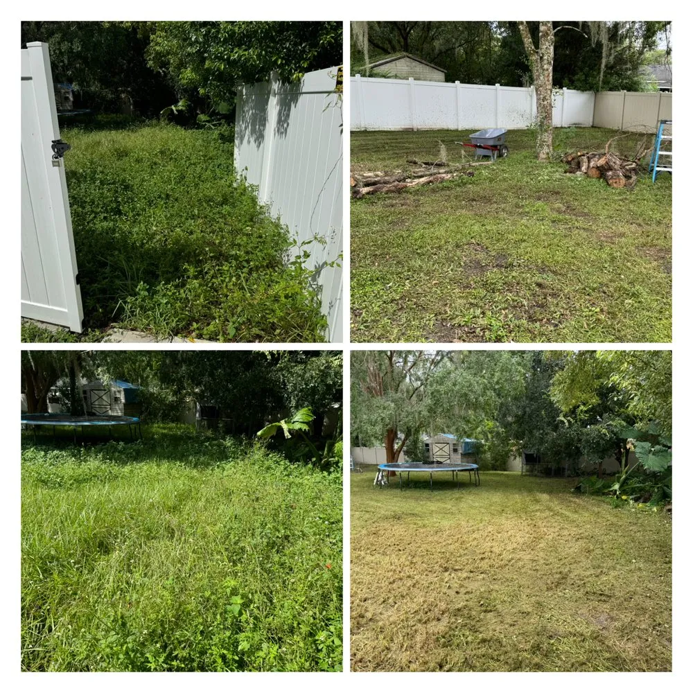 Professional landscape design with custom design across Chiefland, FL - Complete Outdoor Solutions