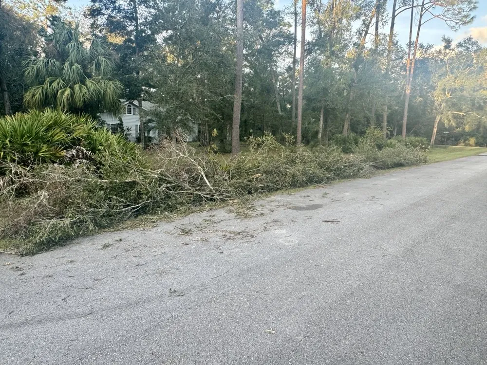 Top-rated residential landscaping experts serving Chiefland, FL - Complete Outdoor Solutions