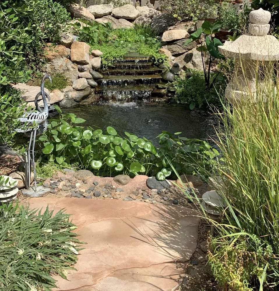 Local landscaping services for residential properties in Las Vegas, NV by Complete Pond Care
