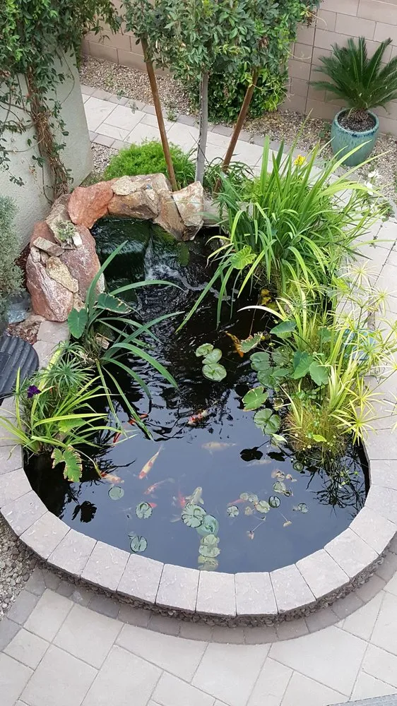Reliable landscaping services in Las Vegas, NV - Complete Pond Care
