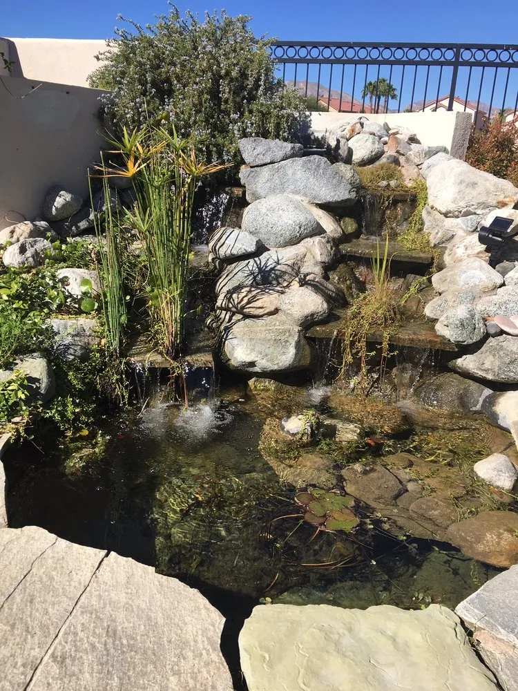 Top-rated yard cleanup service in Las Vegas, NV by Complete Pond Care