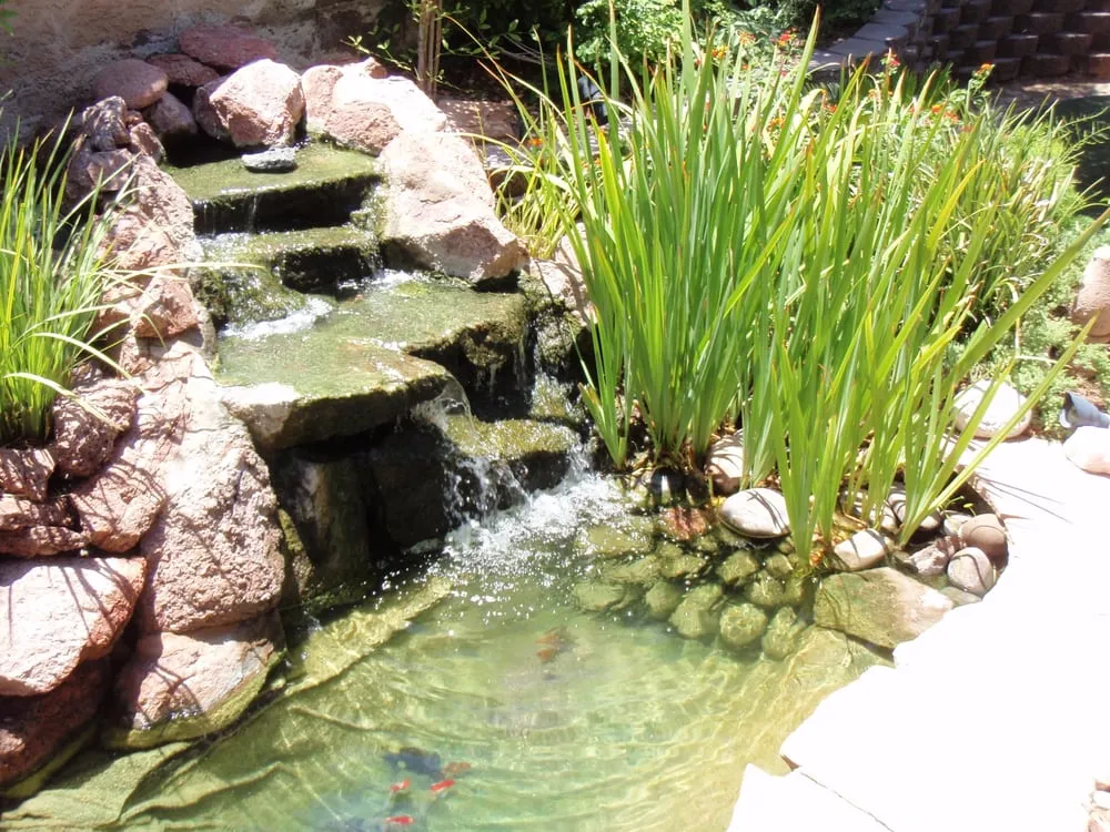 Expert garden landscaping in Las Vegas, NV - Complete Pond Care