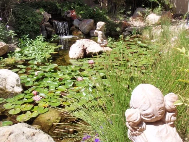 Top-rated lawn care service experts serving Las Vegas, NV - Complete Pond Care