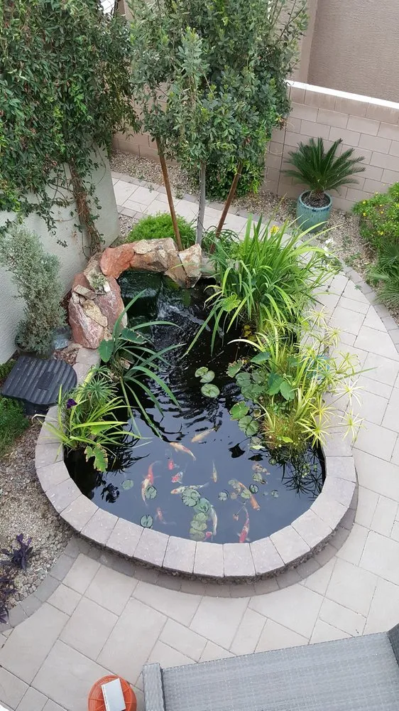 Expert lawn care service in Las Vegas, NV - Complete Pond Care