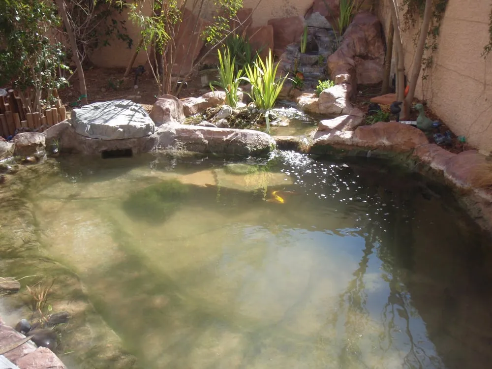 Professional landscaping services for beautiful yards across Las Vegas, NV - Complete Pond Care