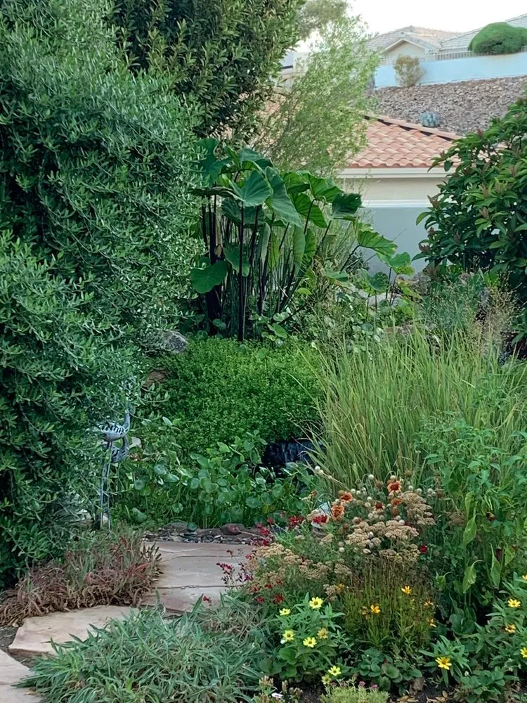 Top-rated landscape installation for beautiful yards in Las Vegas, NV by Complete Pond Care
