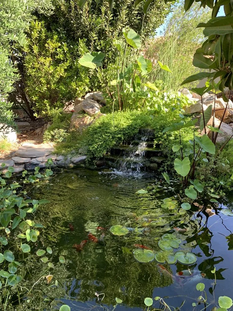 Top-rated landscape design experts serving Las Vegas, NV - Complete Pond Care