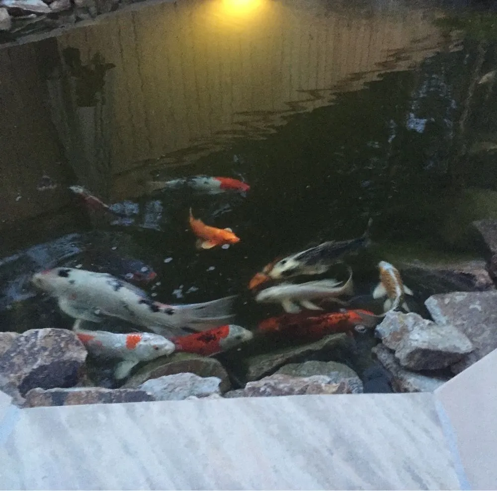 Local lawn mowing service for residential properties across Las Vegas, NV - Complete Pond Care