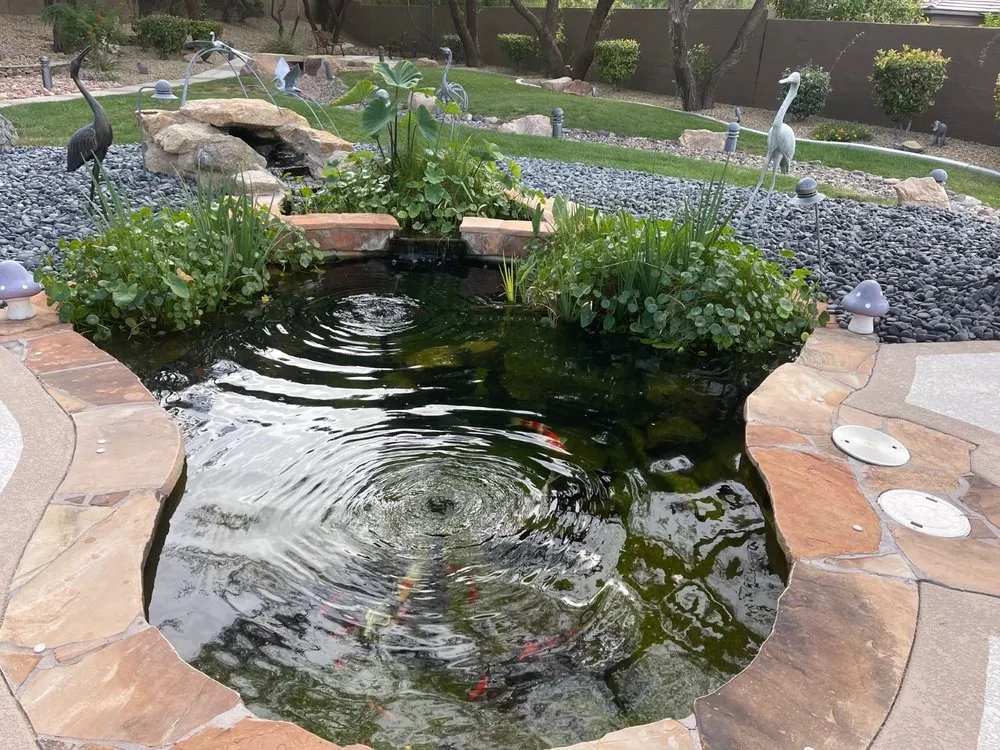 Affordable yard maintenance in Las Vegas, NV by Complete Pond Care