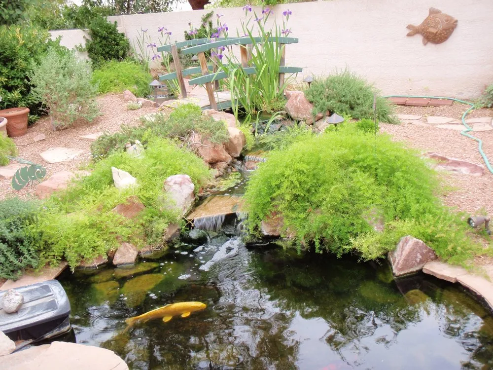 Professional lawn care service experts serving Las Vegas, NV - Complete Pond Care