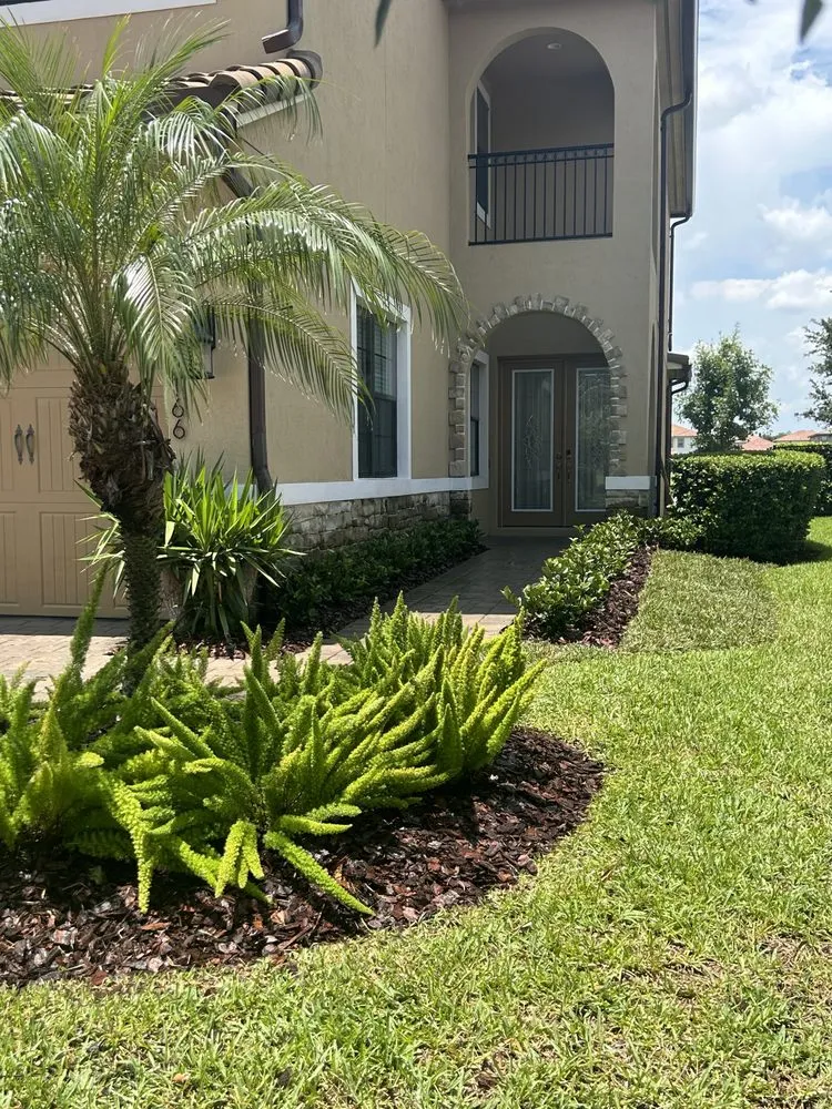 Reliable yard cleanup service near you across Kissimmee, FL - Complete Pro Lawn Care