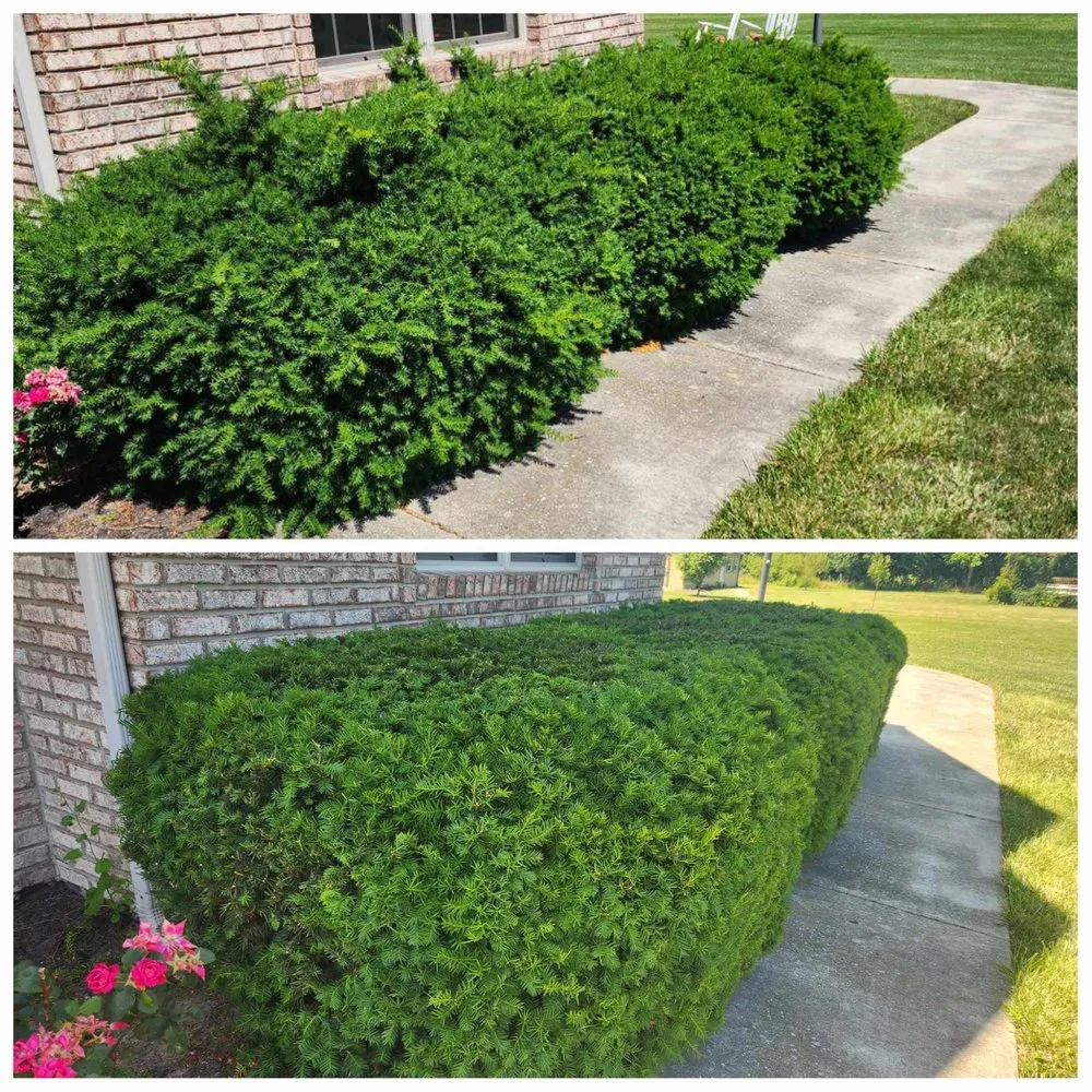 Affordable landscape design in Eaton, IN by Complete Property Care & Excavation