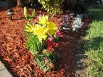Affordable landscaping services for beautiful yards in Brookline, MA by Complete Property Care