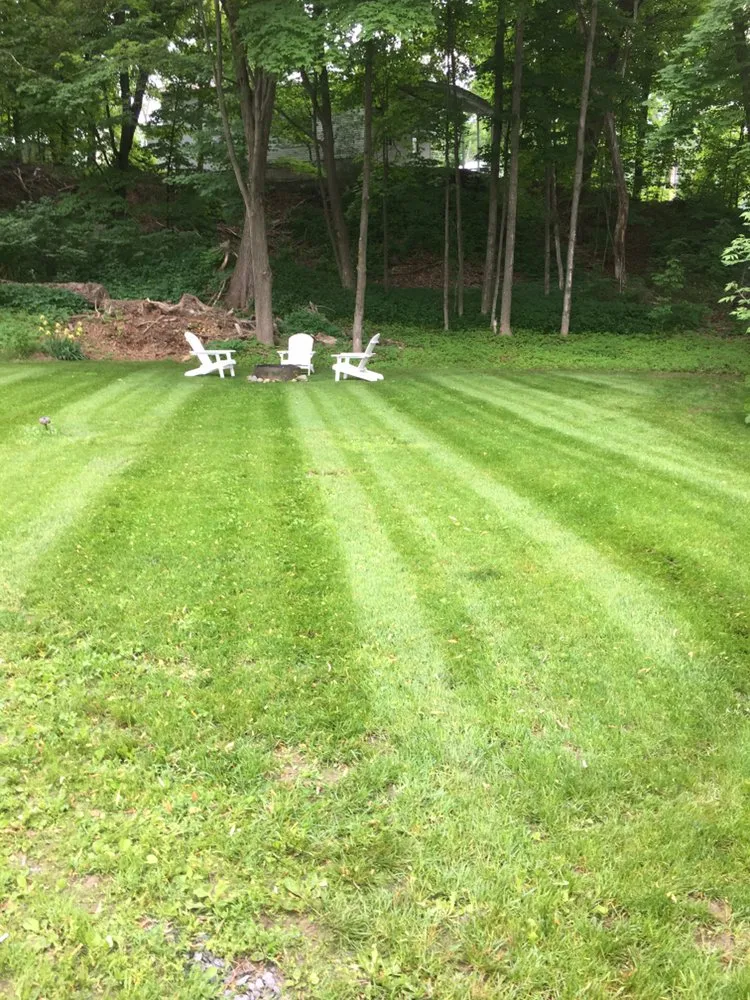 Expert yard cleanup service experts serving Northfield, VT - Complete Property Care