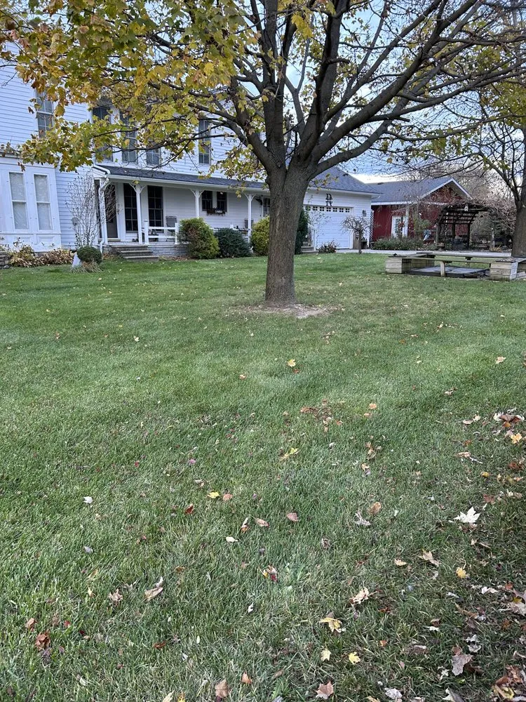 Expert lawn care service near you in Jackson, MI by Complete Property Maintenance