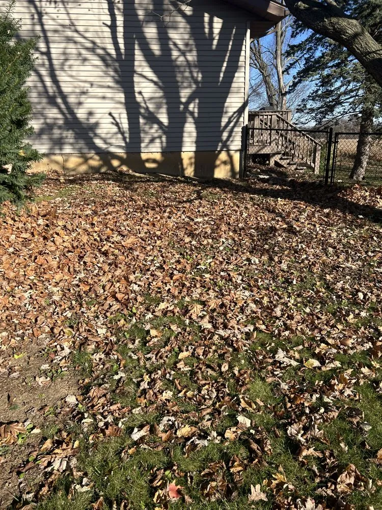 Reliable yard cleanup service near you in Jackson, MI by Complete Property Maintenance