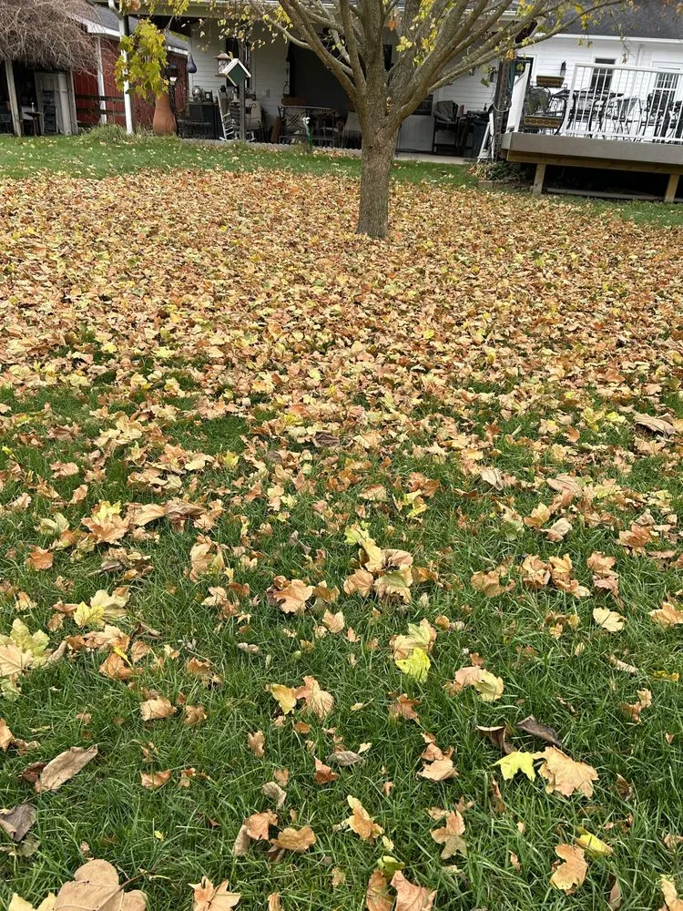 Trusted landscape installation for beautiful yards in Jackson, MI by Complete Property Maintenance