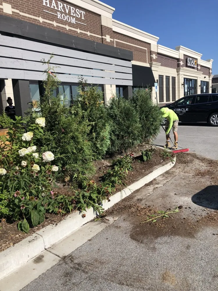 Reliable yard cleanup service for residential properties across Munster, IN - Complete Quality Landscapes