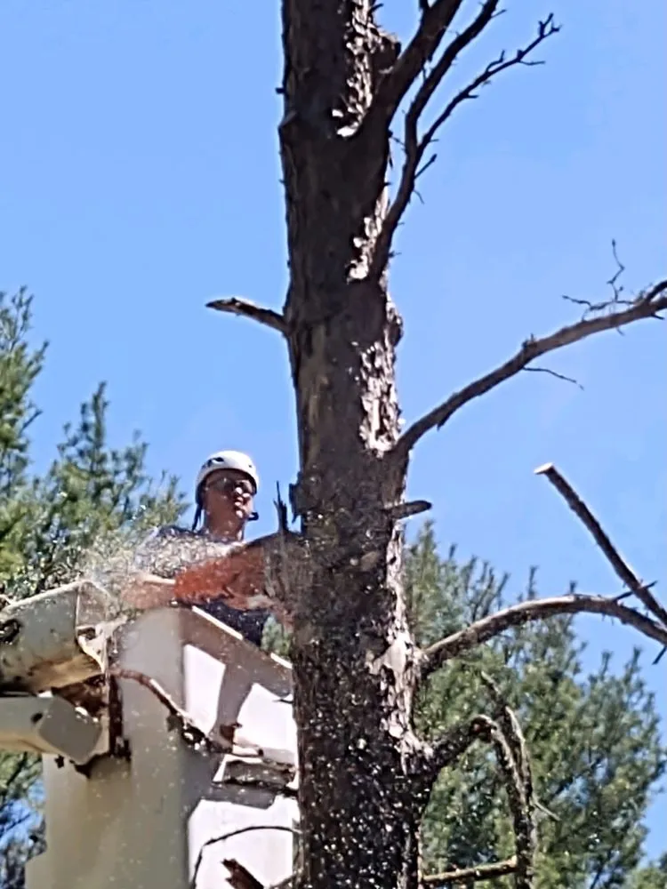 Custom residential landscaping experts serving Eagle River, WI - Complete Services