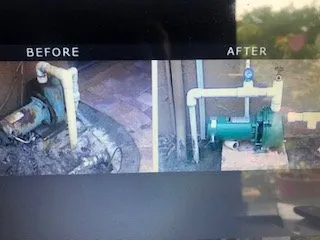 Custom residential landscaping in Homestead, FL - Complete Sprinkler Service